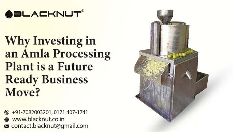 Amla Processing Plant Manufacturer