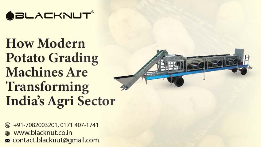 Potato Grading Machine Manufacturer in India