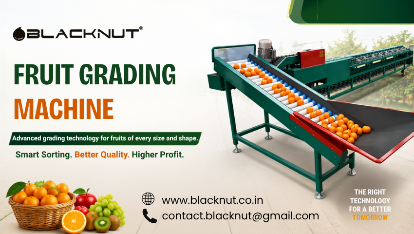 Fruit Grading Machine